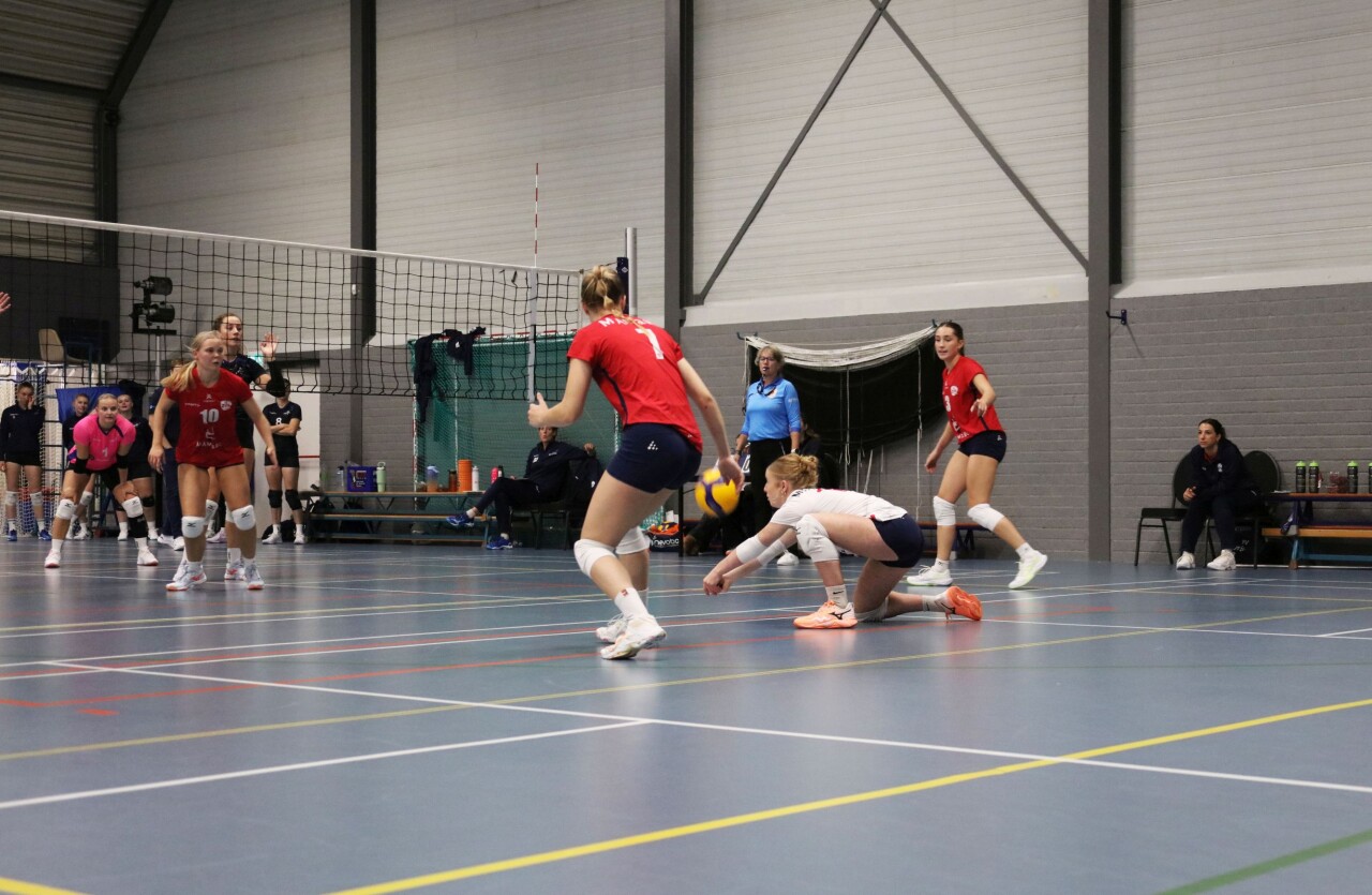 DS1 20261010 0V3A9187.jpg ZVH D 1