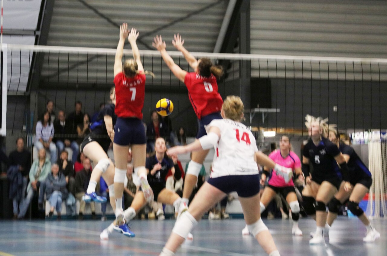 DS1 20261010 0V3A9205.jpg ZVH D 1